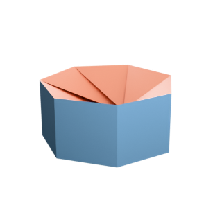 Iris Toroid 7