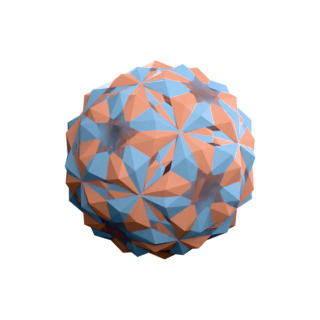 Skilling 73: 2 Snub Dodecadodecahedra