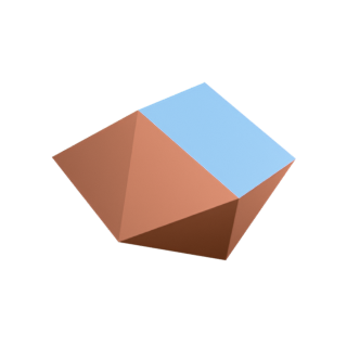 Sphenocorona