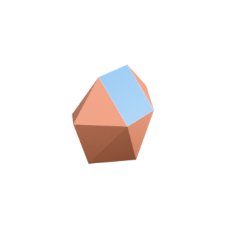 Sphenomegacorona