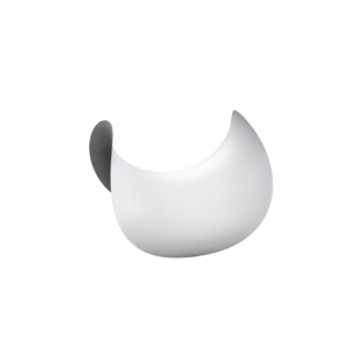 Amsler Surface