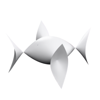 Bouligand's Pillow