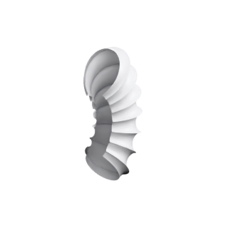 Breather Surface