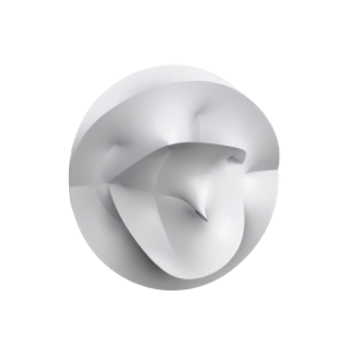 Calabi-Yau Cross-Section