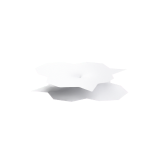 Catenoid Field (square-torus member)