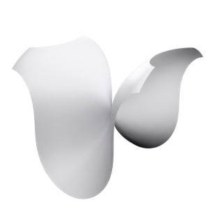 Dromedar