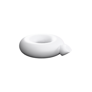 Dyck's Surface
