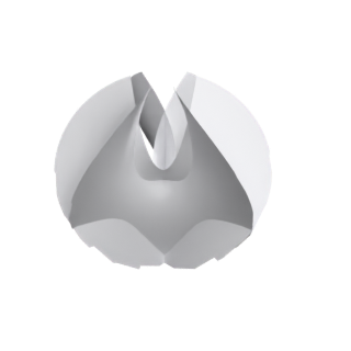 Enneper-ended k-noid