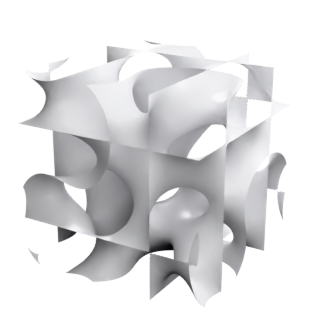 Fischer-Koch C(Y)