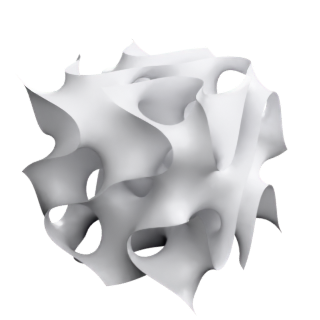 Fischer-Koch S