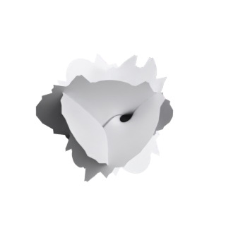 Kusner Projective Plane (p planar ends)