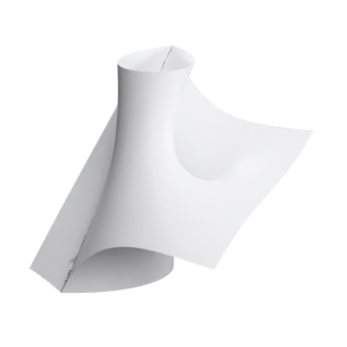 Moebius Surface