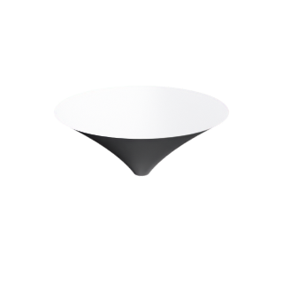 Neiloid