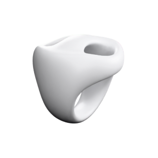 Pilz Surface