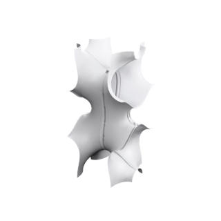 Schoen F-RD(r) (quarter-twisted, genus 5)