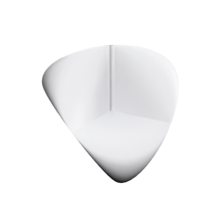 Steiner Surface (Veronese shadow)
