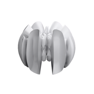 Labs Dodecic (132 A5 points)