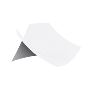 Swallowtail (quartic discriminant)