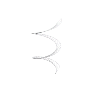 Tangent Developable