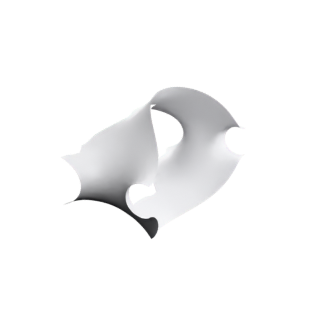 Torus with 2 Enneper + 2 Annular Ends