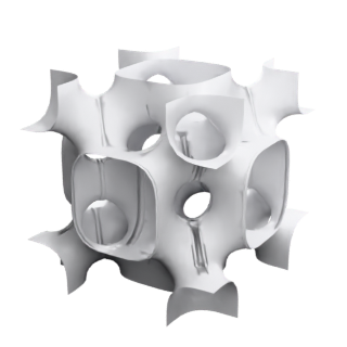 Schoen F-RD (genus 6)