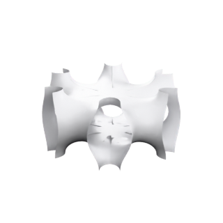 Schoen T'-R' (genus 6)